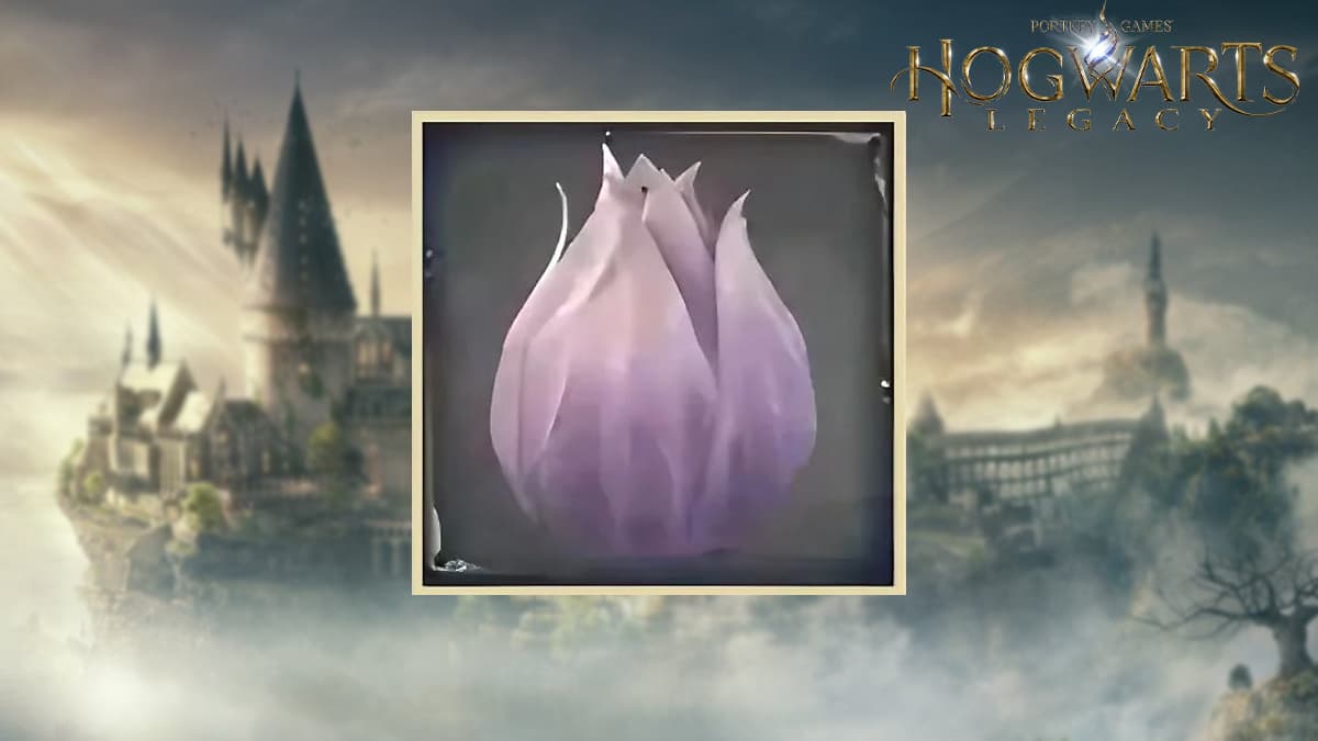 How to get the Shrivelfig Fruit in Hogwarts Legacy: Location & uses
