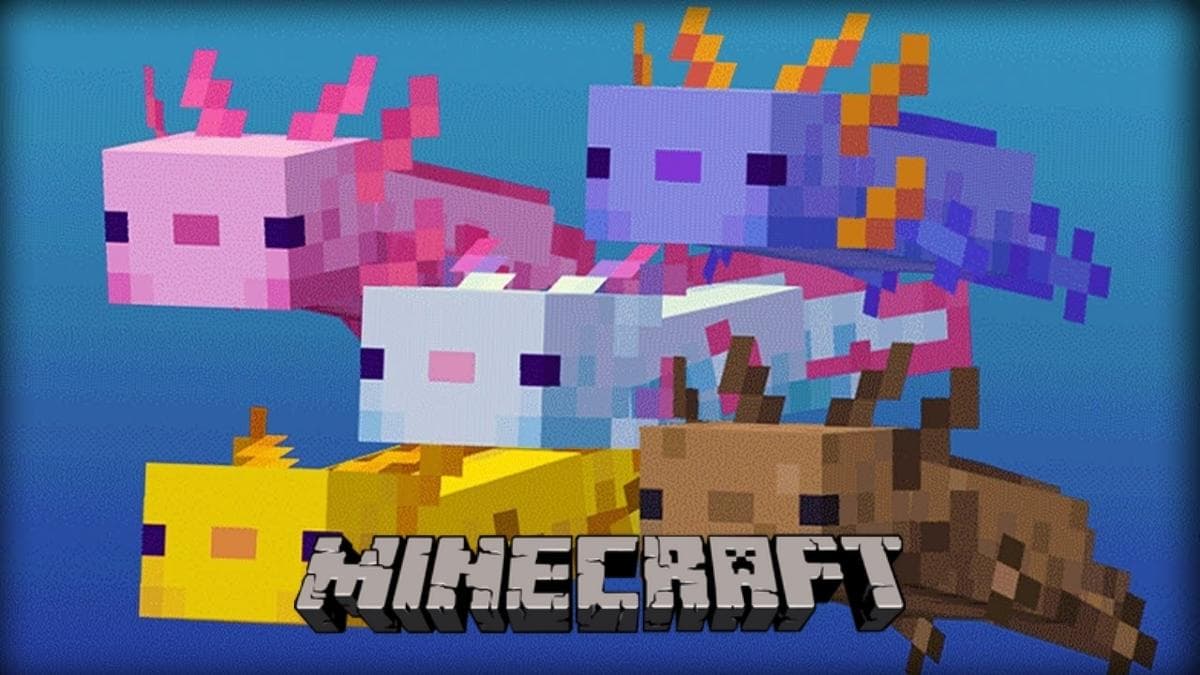 What do Axolotls eat in Minecraft? Breeding & taming guide
